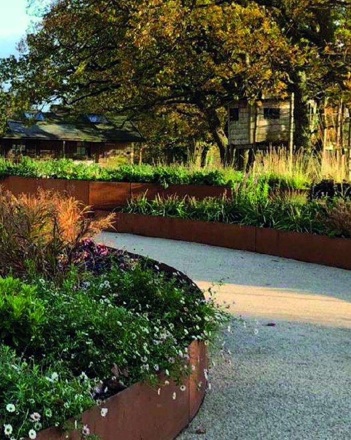 Клумбы Эстетика